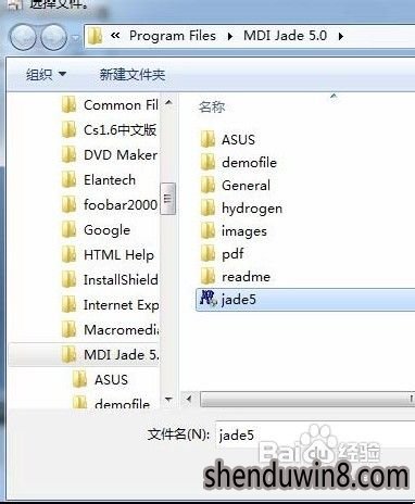 100001BX-5.jpg