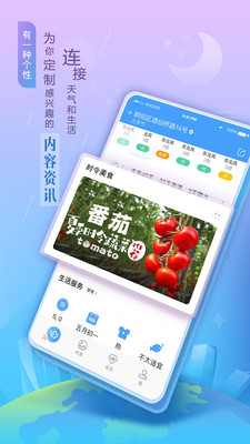 墨迹天气app官方最新版下载