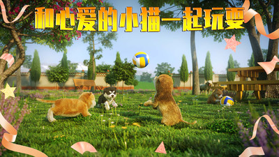 模拟猫咪中文最新手机版
