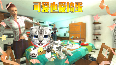 模拟猫咪中文最新手机版免费版本