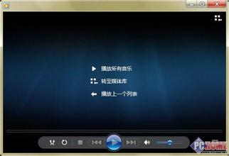 WMP12默认解码器