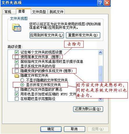 system volume information文件夹-1