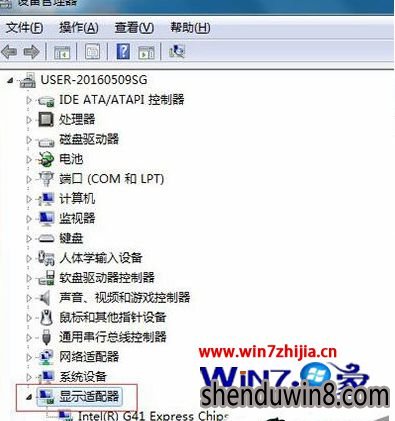找到“显示适配器”并展开