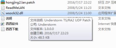 win10系统红色警戒联机2的设置方法