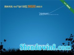 ľ 32λwin7װv2022.11