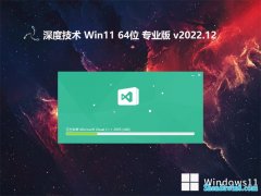 ȼ⼤win11 64λ²ٰv2022.12