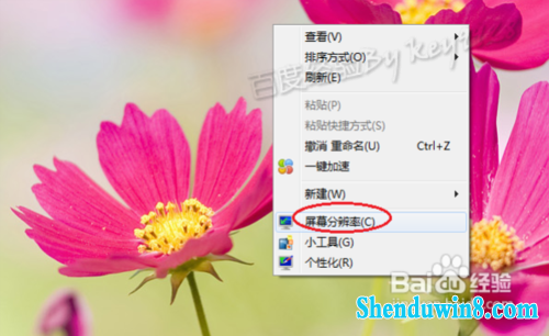 windows8.1ϵͳɫô 