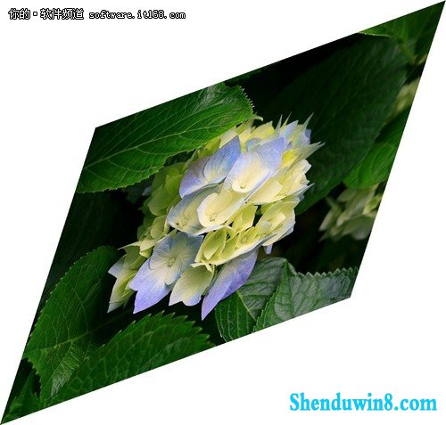 真方便 巧用windows8.1画图调整图片大小