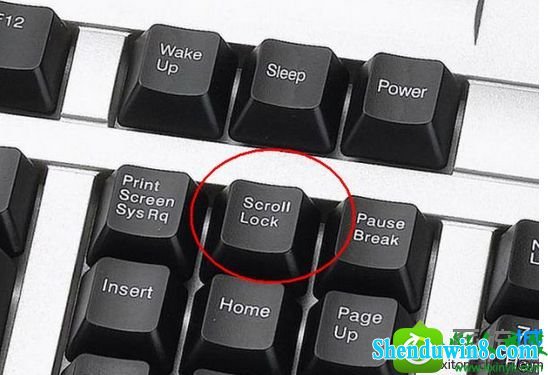 电子表格无法移动单元格光标 win10系统键盘无法输入的解决方法