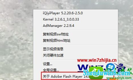 win8.1ϵͳ鿴iEеFlash player汾Ĳ