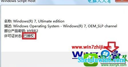 win8.1ϵͳchew-wga߼Ĳ