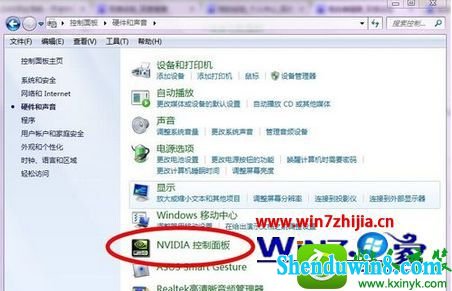 win8.1ϵͳnvidiaԿĲ