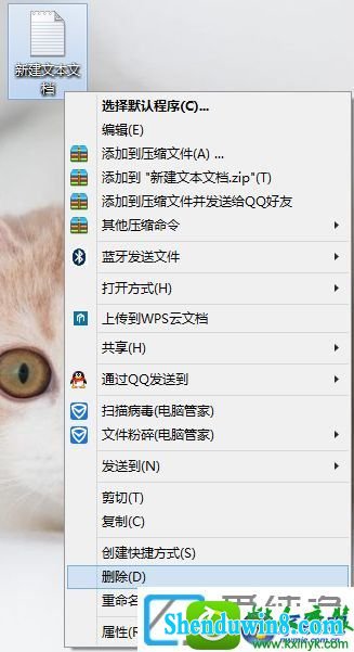 win8.1ϵͳɾļûȷʾĽ