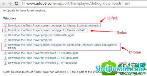 win10ϵͳʾadobe flash playerڡĽ