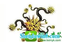 win10系统电脑中了virus.win32病毒的解决方法