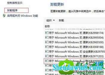 win8.1ϵͳ洩Խʾ쳣Ľ