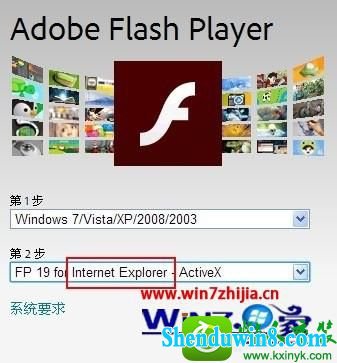 win10ϵͳ򿪽ͻʾװflash playerʧܵĽ