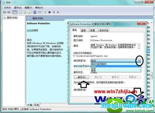 win10ϵͳsoftware protectionʧܵĽ