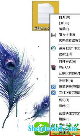 win8.1ϵͳ±治ʾδ֪󡱵Ľ