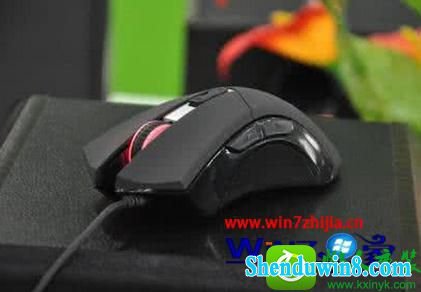  win10ϵͳԽusbֹĲ