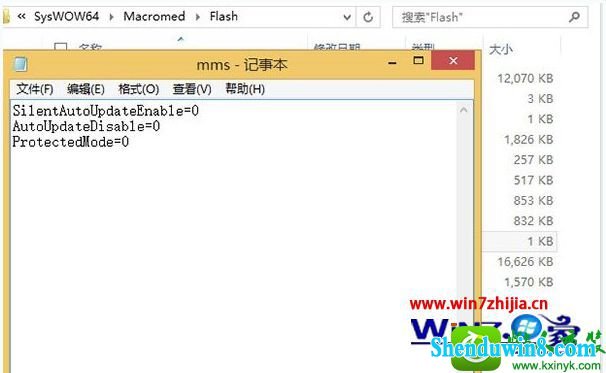 win8.1ϵͳûflashֹּͣӦĽ