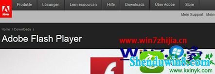 win8.1系统斗鱼tv打不开的解决方法