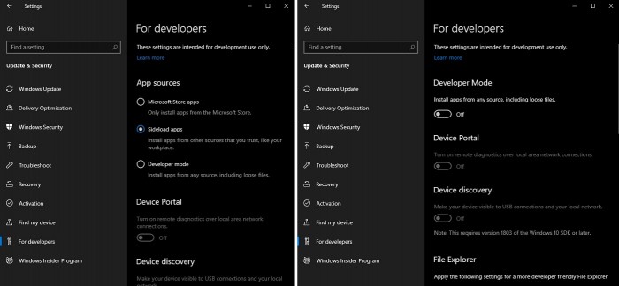 Windows-10-20H1-dev-settings.jpg