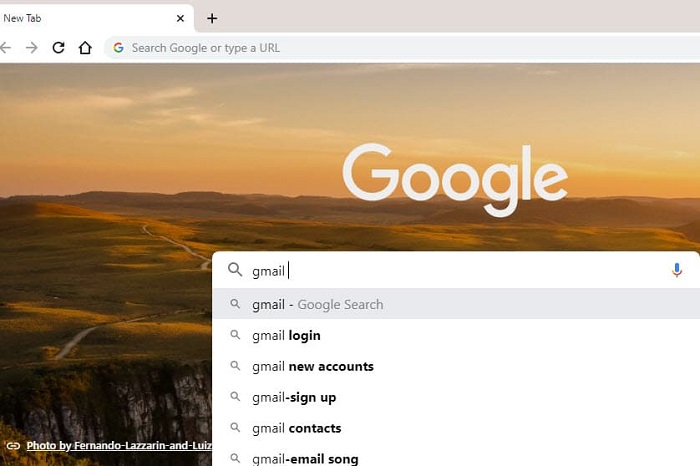 Chrome 浏览器