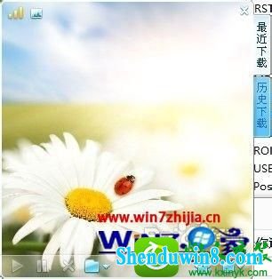 win8.1ϵͳװѸ׳ֱĽ