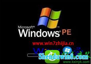 win8.1ϵͳװ0xc00000e9Ľ