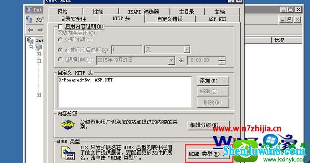 win8.1ϵͳiis6֧svgͼʾĲ