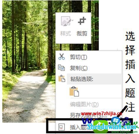 win8.1系统word文档图片怎么设置自动编号 win8.1系统word文档图片设置自动编号的操作方法
