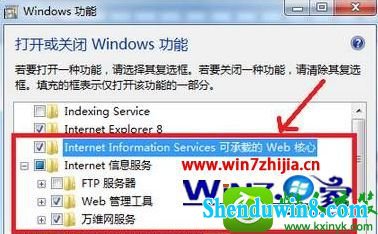 win8.1ϵͳװiisĲ