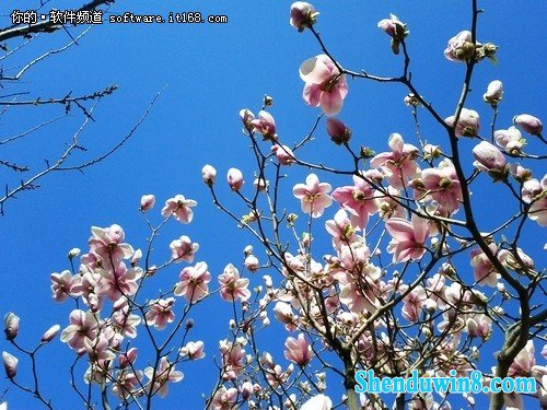 win10小白训练营:巧施计找回误删文件