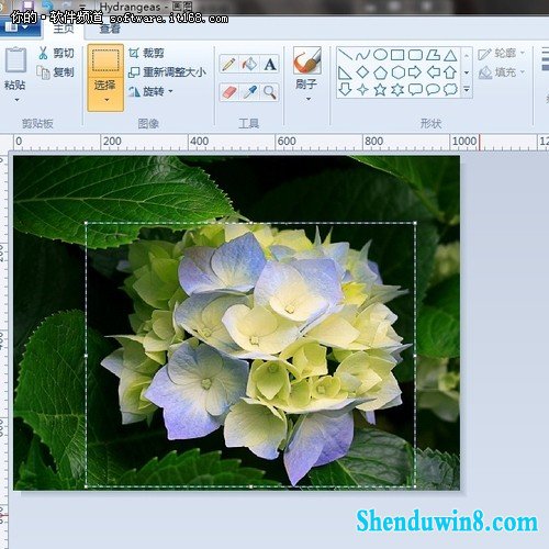 真方便 巧用windows10画图调整图片大小